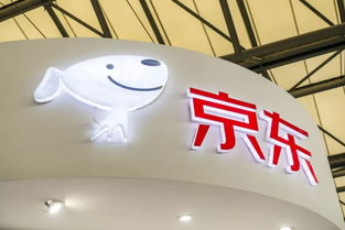 財報背后的秘密 隱形新中產崛起，成為京東增長新引擎